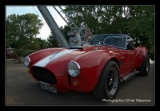 Cobra replica-3.png
